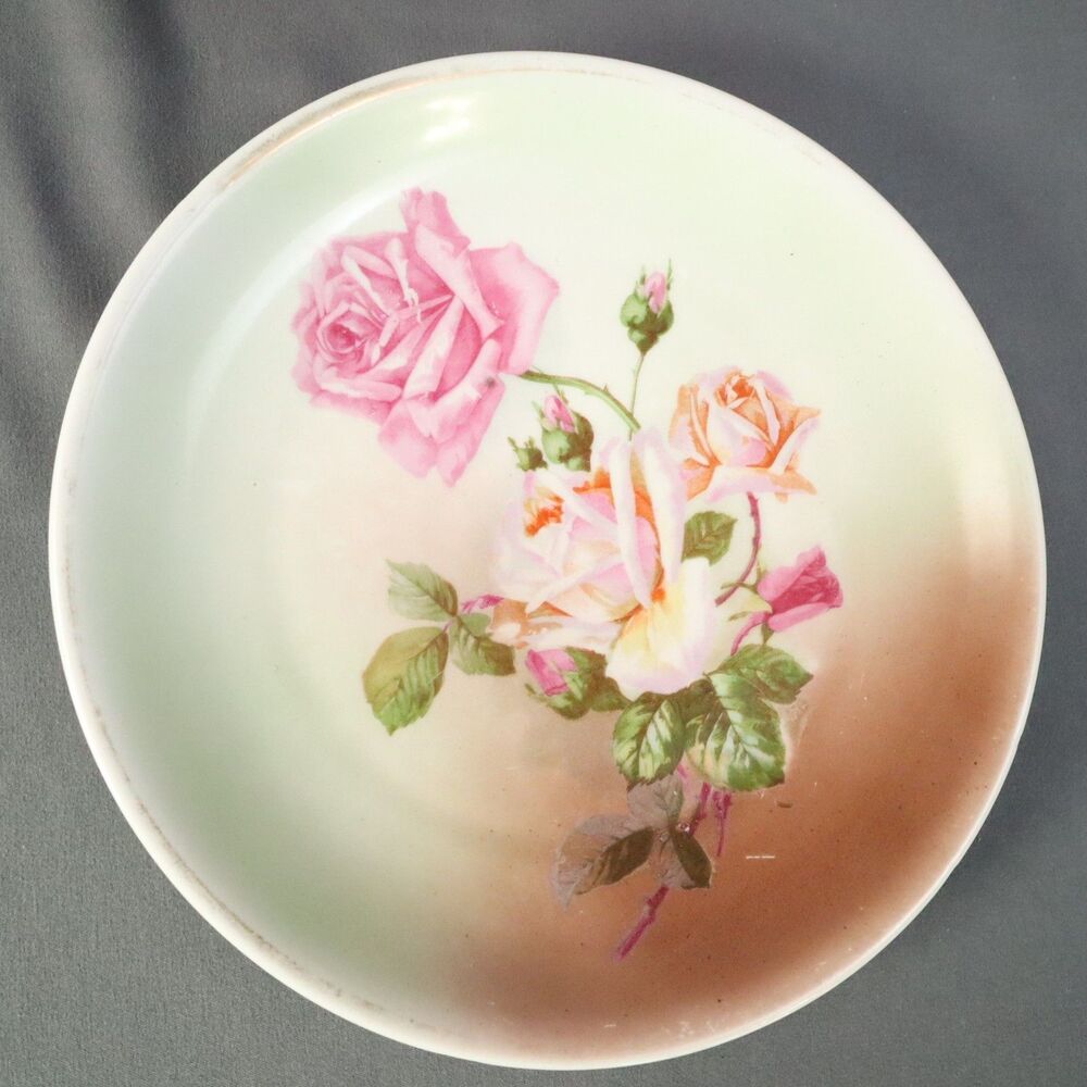 CT Altwasser German Porcelain  8.5"  Decorative Antique Plate Pink Roses